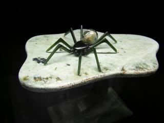 Pounamu Spider